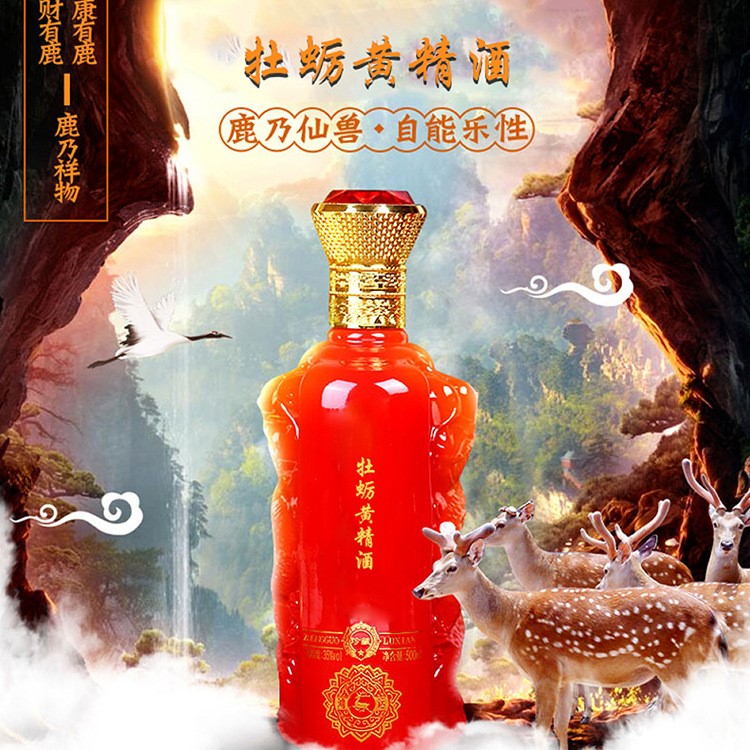 瑪咖酒oem代加工 吉林東豐藥業(yè)牡蠣黃精酒平衡腎 蛇酒貼牌定制