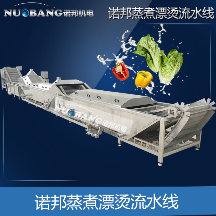 雙孢菇梨菇蒸煮漂燙殺青護(hù)色機(jī)  罐頭巴氏殺菌生產(chǎn)流水線