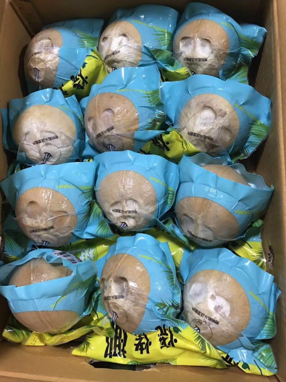 燒烤椰2粒4粒裝新鮮椰子青椰椰皇好喝好吃肉滑椰子