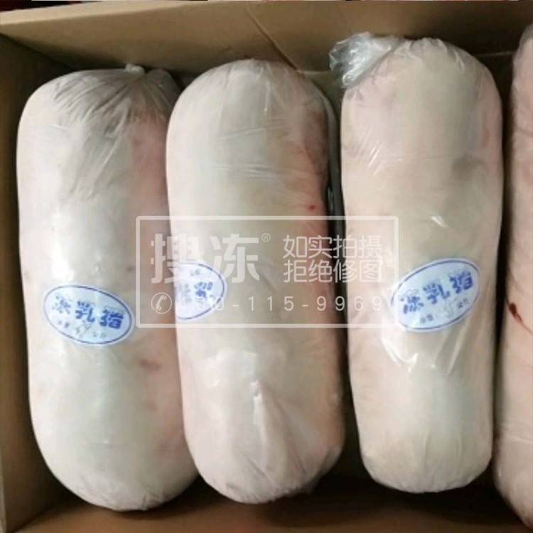 乳豬整只 小耳朵脆皮烤肉酒店燒臘烤乳豬生豬燒烤食材批發(fā)配送