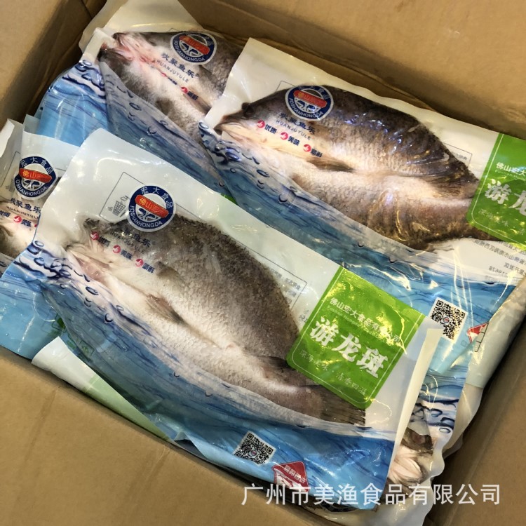 開背速凍 淡水 游龍斑金目鱸冷凍海魚開背鱸龍膽魚 3種規(guī)格可選