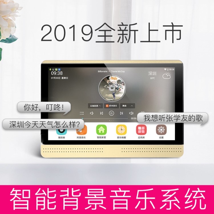 智能影音家庭背景音樂系統(tǒng)吸頂音響吊頂喇叭主機控制器智能家居