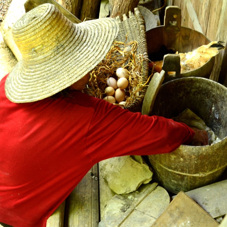 湘西農(nóng)家自養(yǎng) 散養(yǎng)新鮮家雞蛋土雞蛋草雞蛋笨雞蛋富硒野雞蛋 10枚