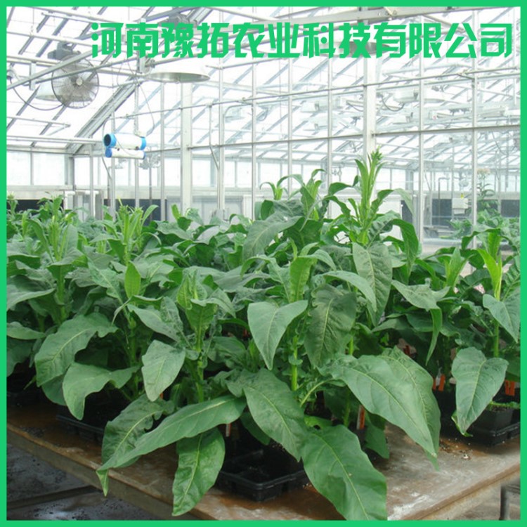 供应 科研智能温室 植物检验检疫隔离温室 科研温室