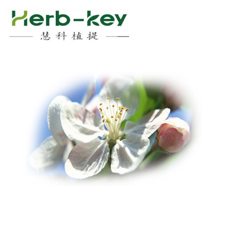 陜西慧科 梨花提取物 10：1 梨花粉  包郵