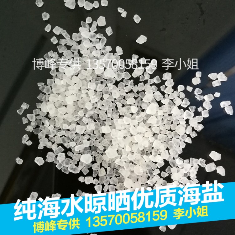 廠家直銷日曬大粒海鹽 沐浴沐足天然海鹽  清潔控油磨砂護膚