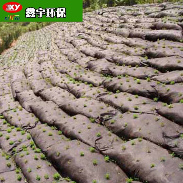 護坡袋 加筋環(huán)保生態(tài)袋 抗紫外線 耐磨損耐蟲蛀 防洪抗汛專用袋