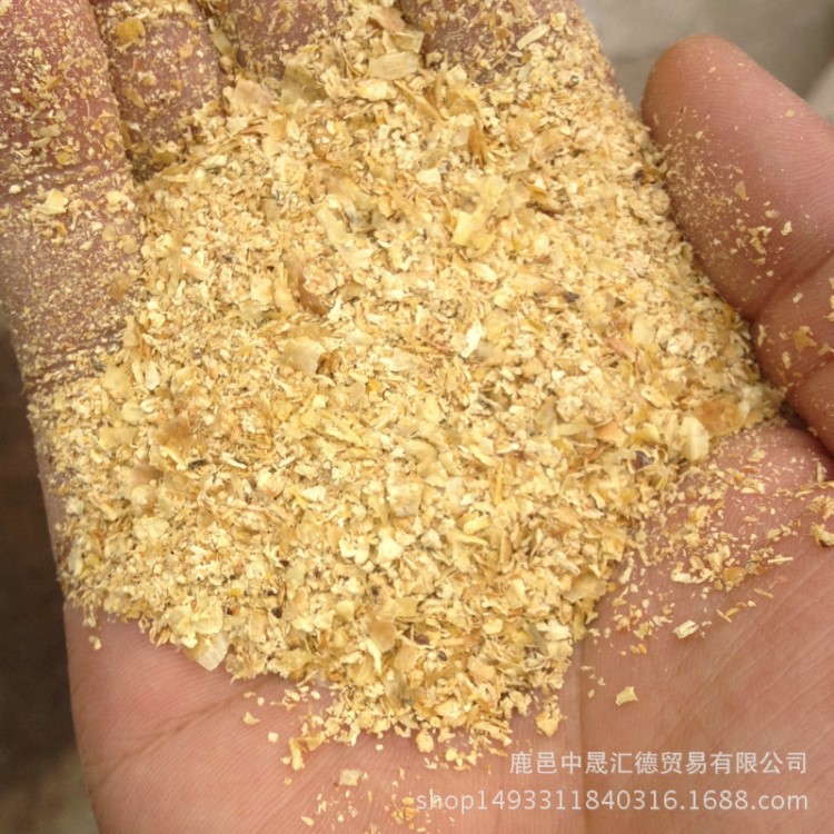 銷售提奶量無草育肥　玉米皮粕小尾寒羊飼料