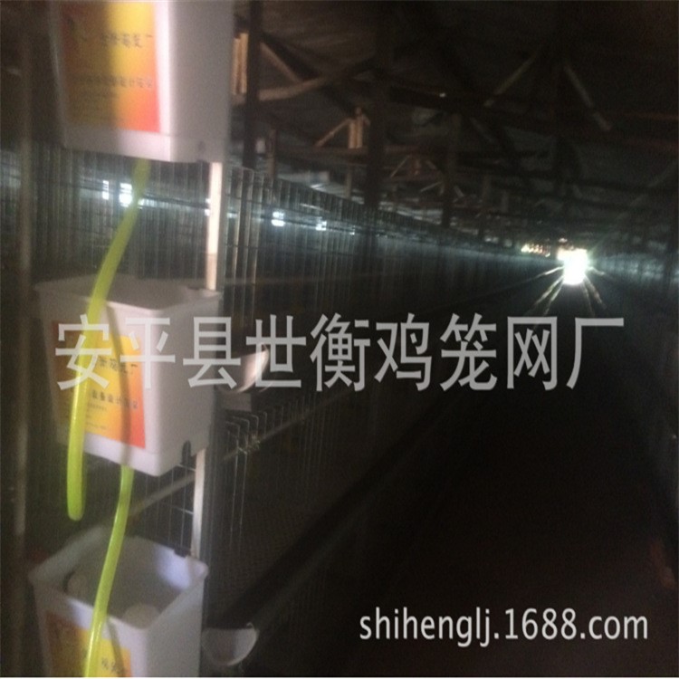冷熱鍍鋅肉雞籠 清糞喂料全自動(dòng)化 溫控鍋爐