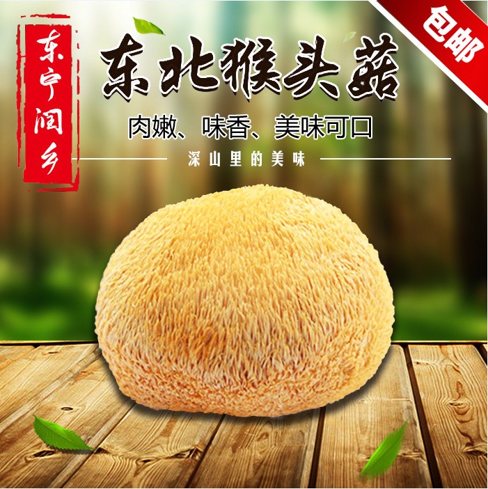 東寧潤?quán)l(xiāng)東北干貨特產(chǎn)食用菌散貨裝批發(fā)猴頭菇500克廠家直銷