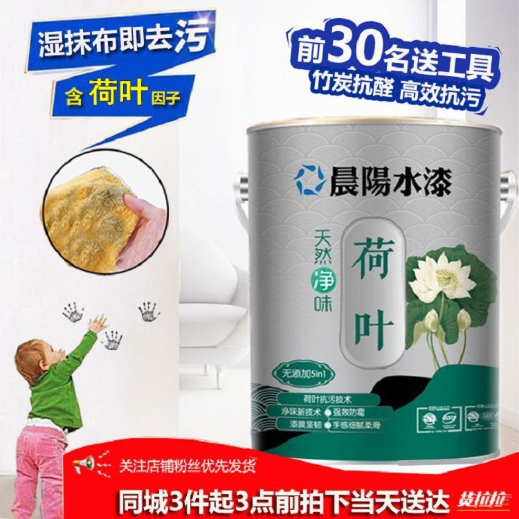 晨陽(yáng)水漆天然凈味荷葉內(nèi)墻耐擦洗水性漆涂料非乳膠漆家裝涂料