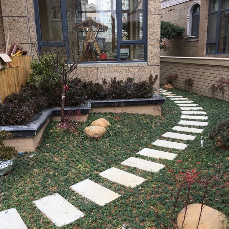 戶外園林工程古式庭院住宅別墅石路設計蘇州園林鋪路石景觀