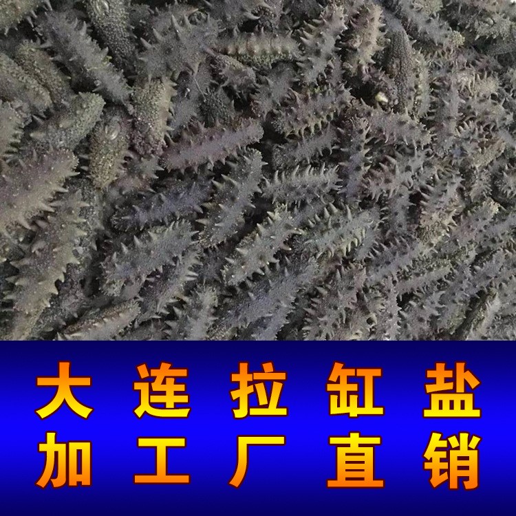 廠家直銷大連半干海參干貨批發(fā)輕火候拉缸鹽海參500g