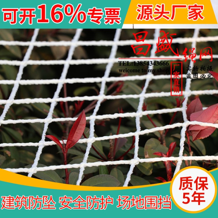 白色尼龍建筑平網(wǎng) 防墜網(wǎng)井架網(wǎng)挑網(wǎng) 工地施工防護平網(wǎng)