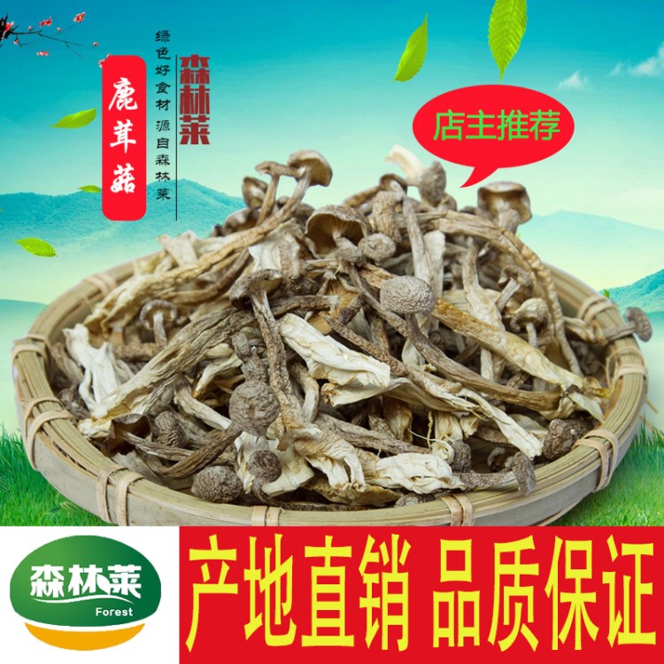 批發(fā)供應(yīng) 鹿茸菌 鹿茸牛肝菌批發(fā) 鹿茸菇山珍 干貨類食用菌包郵