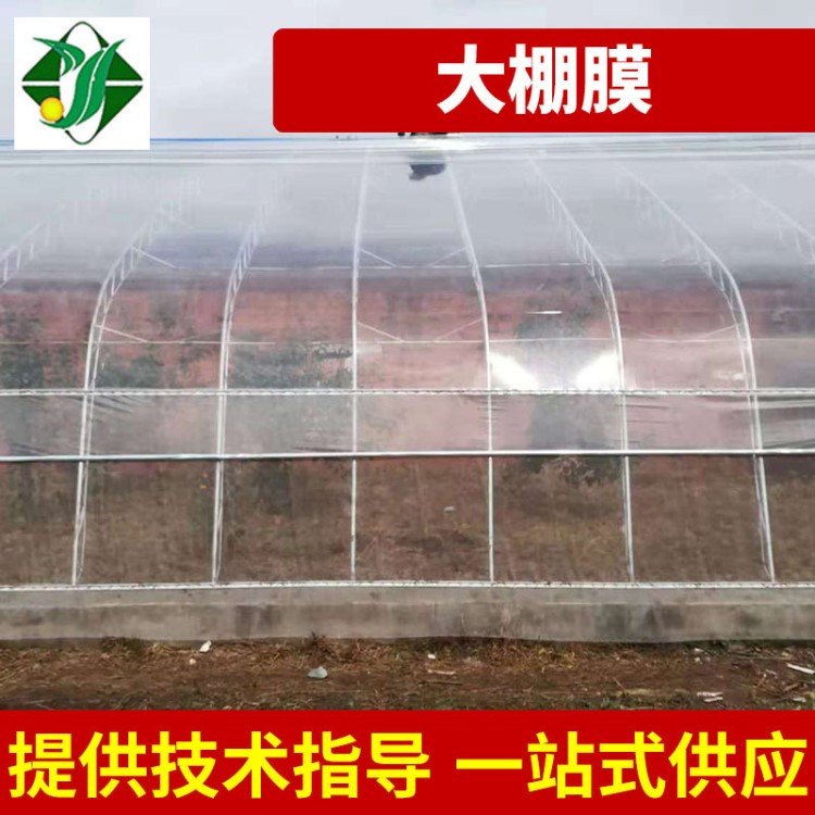 溫室大棚配套設備 蔬菜大棚專用棚膜 PO膜 大棚膜