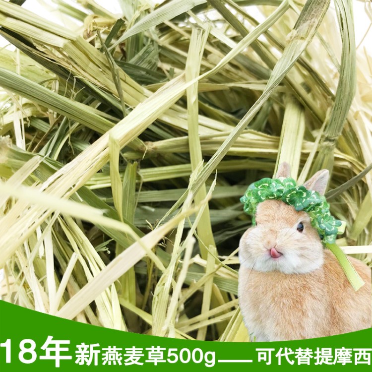 黃金燕麥草澳麥500g兔子干草荷蘭豬龍貓干草可替代提摩西干草批發(fā)