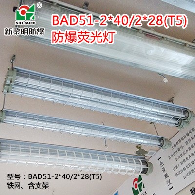 BAY51 T5 2*28W新黎明防爆荧光灯具双管 国标