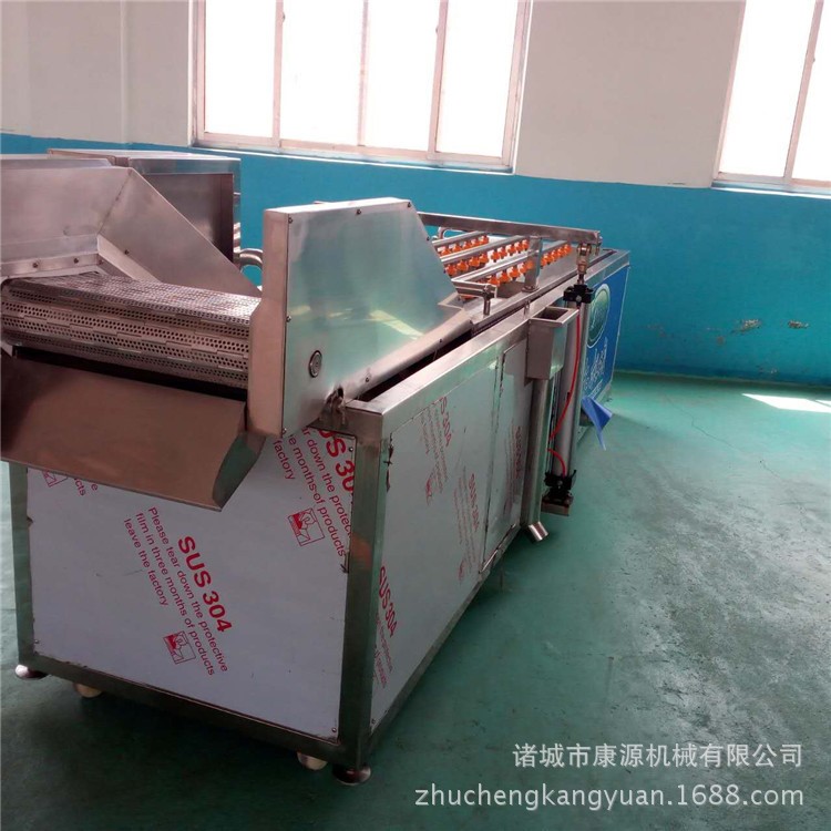 葉類一件代發(fā)  康源生產(chǎn) 蕓豆清洗機(jī)商用  質(zhì)量