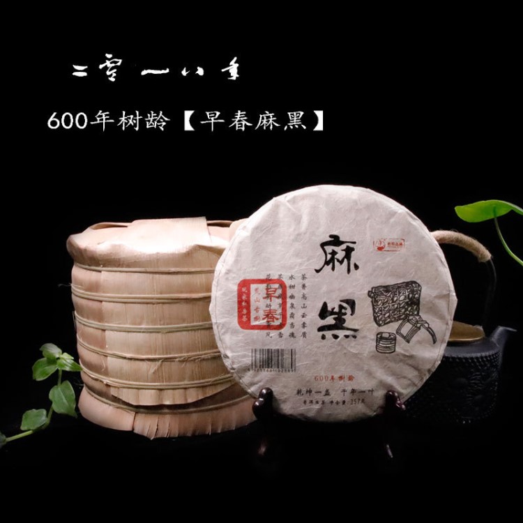 早春易武麻黑古樹(shù)料 云南普洱茶批發(fā) 七子餅生茶葉357g廠家直銷(xiāo)