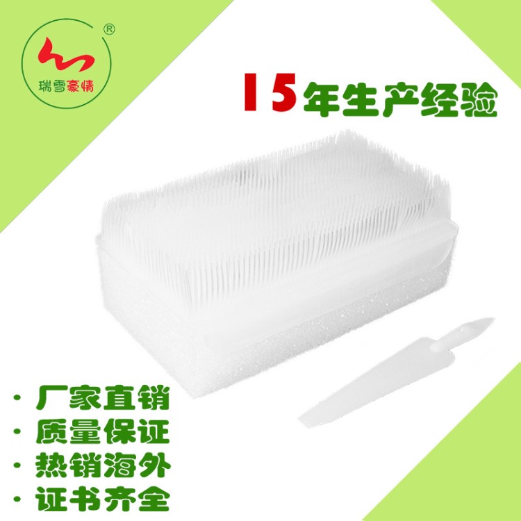 一次性醫(yī)用外科洗手刷塑料沐浴刷清潔醫(yī)用消毒手術(shù)刷 帶指甲簽