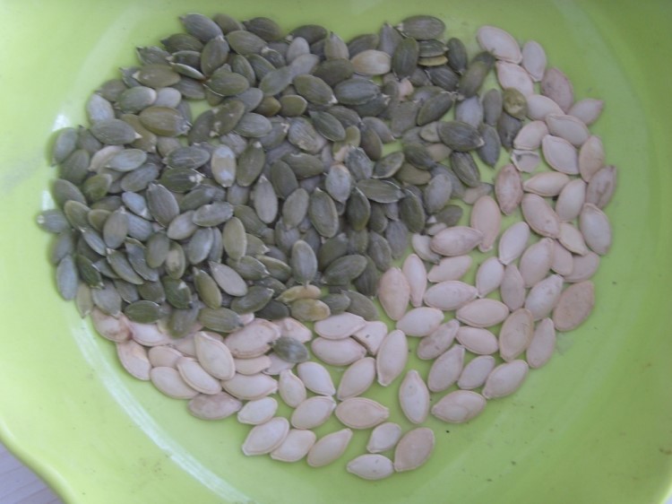 葫芦籽白瓜子白葫芦籽生葫芦籽内蒙古葫芦籽批发大量原料