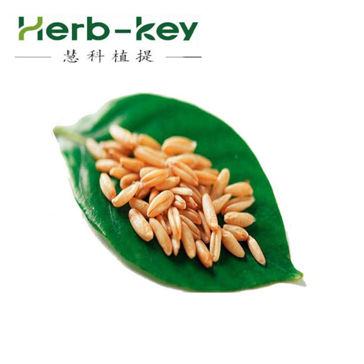 非水溶燕麥纖維粉 食品級(jí)燕麥膳食纖維 燕麥秸稈提取物 陜西慧科