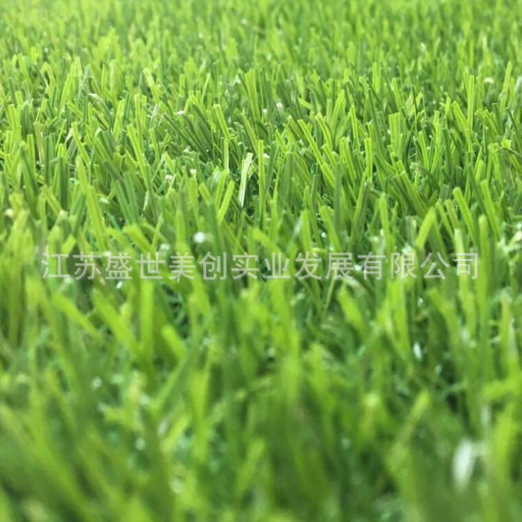 美創(chuàng)人造草坪 陽泉免填充草加密門球場塑料仿真草坪