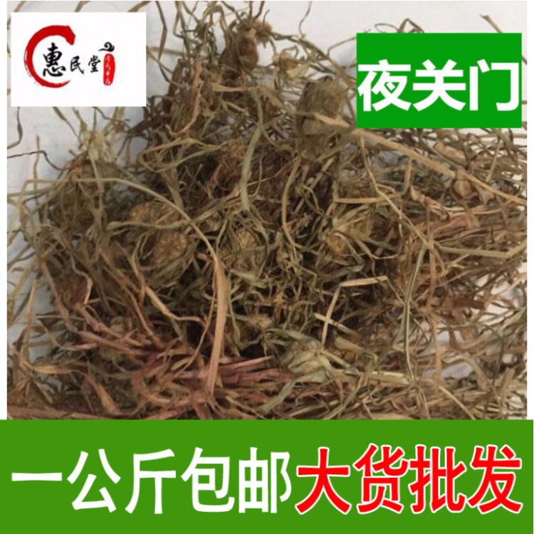 夜關(guān)門 鐵掃帚 野雞草 關(guān)門草 一公斤包郵 食用農(nóng)產(chǎn)品初加工