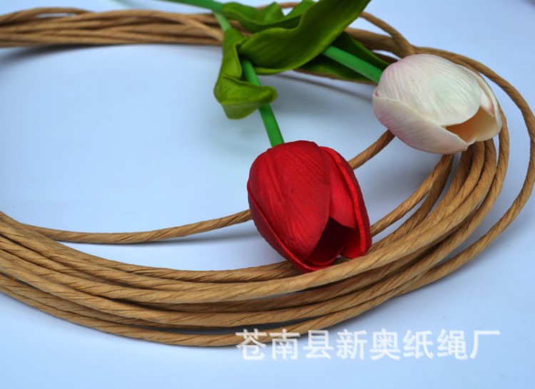 生產供應 彩色牛皮紙紙繩子 工藝拉菲紙繩 購物袋質優(yōu)紙手提繩
