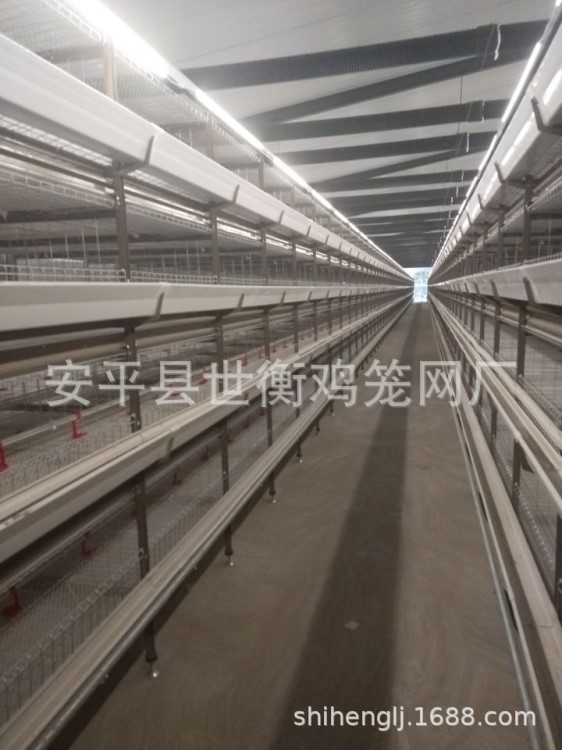 框架肉雞籠 大層疊式肉雞籠