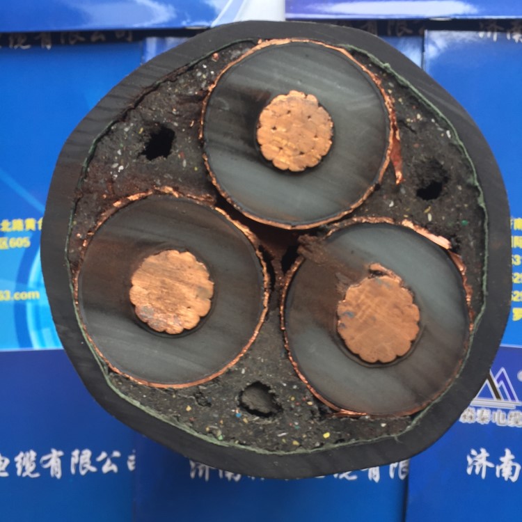 生產(chǎn)廠家供應(yīng)YJV22-3*120交聯(lián)絕緣高壓鎧裝銅芯國(guó)標(biāo)電力電纜 15kV
