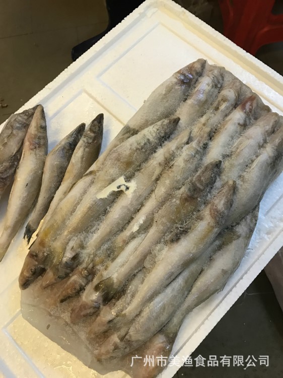 批發(fā)冷凍沙尖魚(yú)沙丁魚(yú)天然海魚(yú)小新鮮沙尖魚(yú) 野生海捕10/公斤食堂