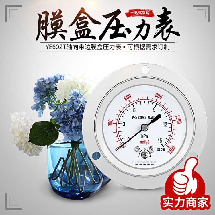 膜盒壓力表YE60ZT軸向帶邊面板式微壓表過壓保護型燃氣管道測壓
