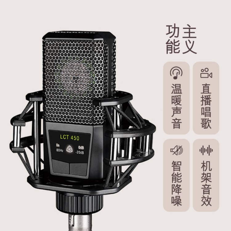 LEWITT/萊維特 LCT 450門(mén)戶(hù)大震膜電容錄音話(huà)筒樂(lè)器主播麥克風(fēng)