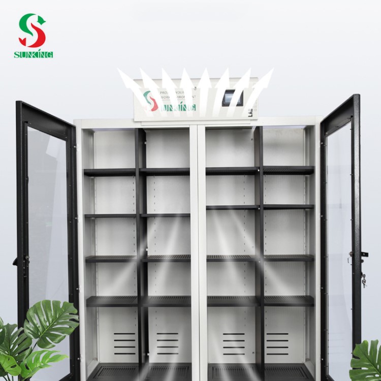 雙邊門實(shí)驗(yàn)室凈氣設(shè)備可移動(dòng)式藥品柜凈氣型儲(chǔ)藥柜 惠州新景直銷
