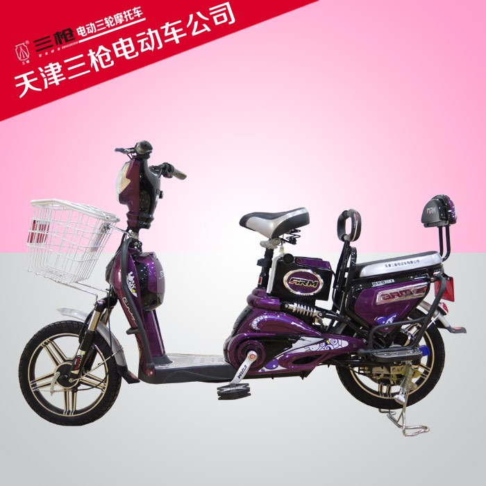 天津三槍電動車廠家加盟代理 加工定制電動車  金福?？铍妱榆?
                                                         style=