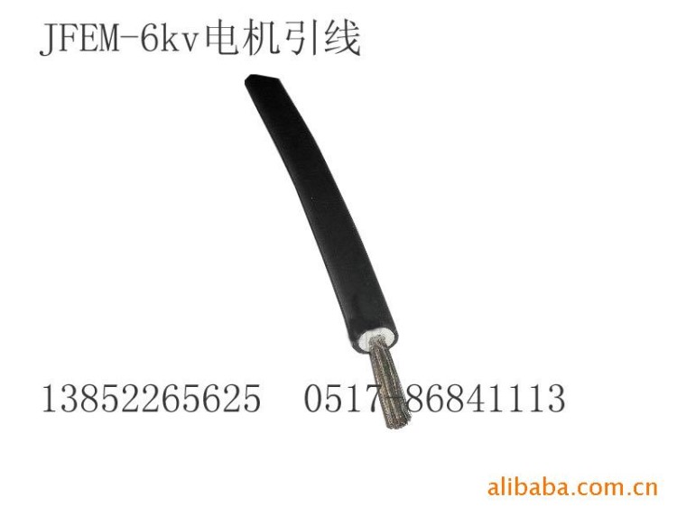 廠家供應(yīng)JFEM-6KV 35平方電機(jī)引接軟電纜電線