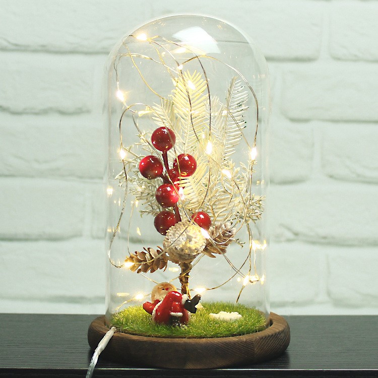 圣誕節平安夜玻璃罩禮物led小夜燈家居桌面擺件微景觀苔蘚生態瓶