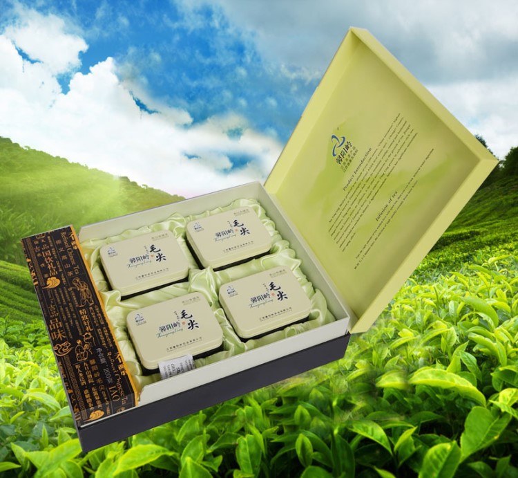 贛南特產(chǎn) 崇義馨陽嶺吉品毛尖 新茶 頭采嫩綠高山綠茶葉 名茶