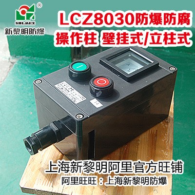 LCZ8030防爆防腐操作柱 壁挂式2灯2纽1电流表B1A2D2新黎明