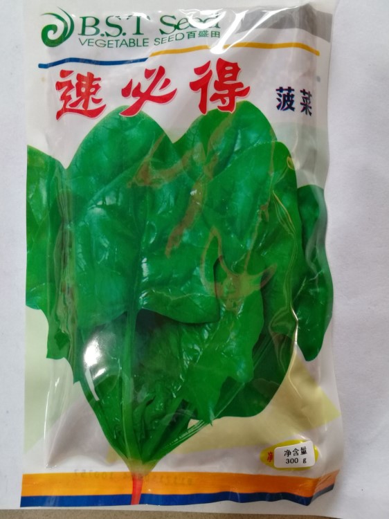 種子批發(fā)速必得菠菜快大抗熱菠菜耐抽苔種子快大菠菜種子口感好