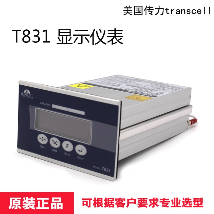供應 T831-3A00-C03控制儀表 美國傳力高精度稱重終端顯示現(xiàn)貨