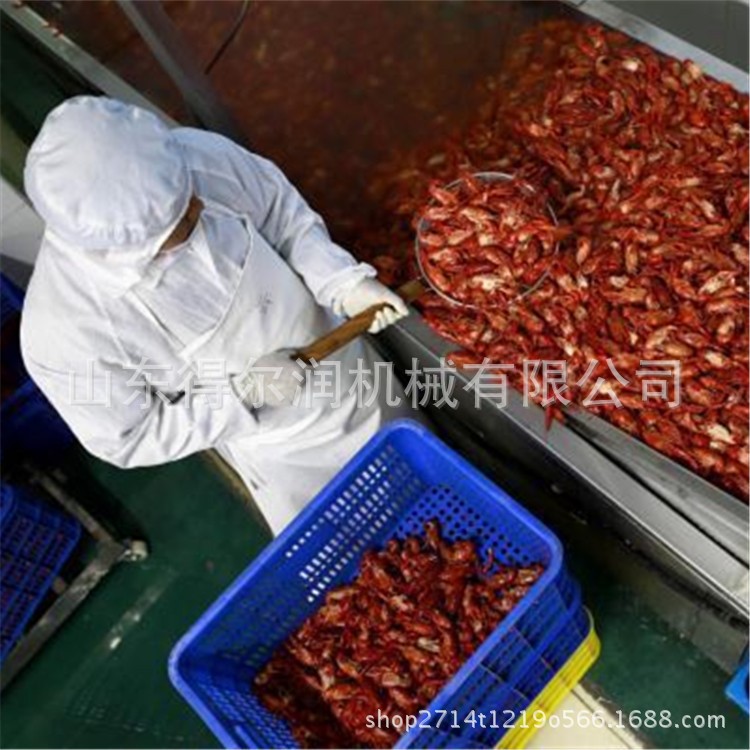 蒜香蝦尾成套加工設備 河北天門淡水蝦油炸工藝 香酥小龍蝦機械