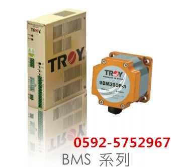 臺(tái)灣泰映步進(jìn)電機(jī)6B020P-2M成都無(wú)刷直流馬達(dá)6B020S-1M