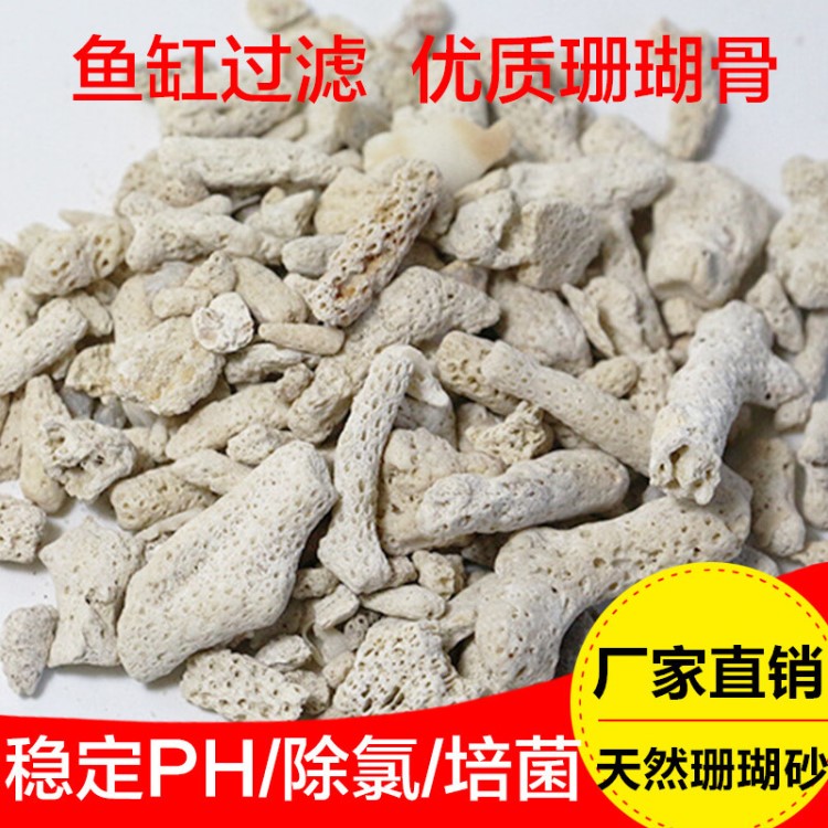 珊瑚沙 珊瑚石 底砂碎 珊瑚砂 魚缸濾材 珊瑚骨水族過濾材料