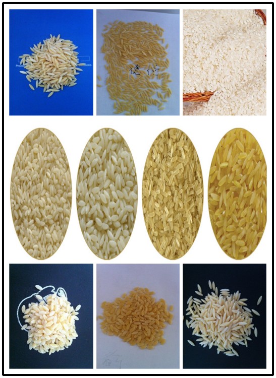 再造米大米粒生产线 营养复合米成套设备保健米挤出机