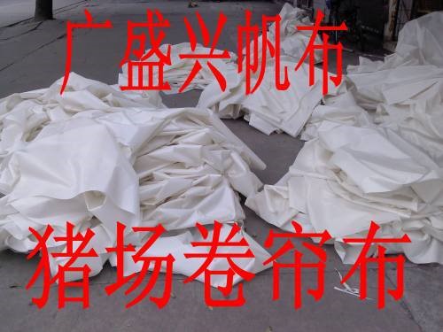 忠信豬場卷簾，河源廣盛興帆布廠直銷米白色豬場卷簾