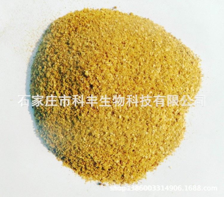大量供應高蛋白玉米酒糟  原料玉米酒糟  混合玉米酒糟低脂