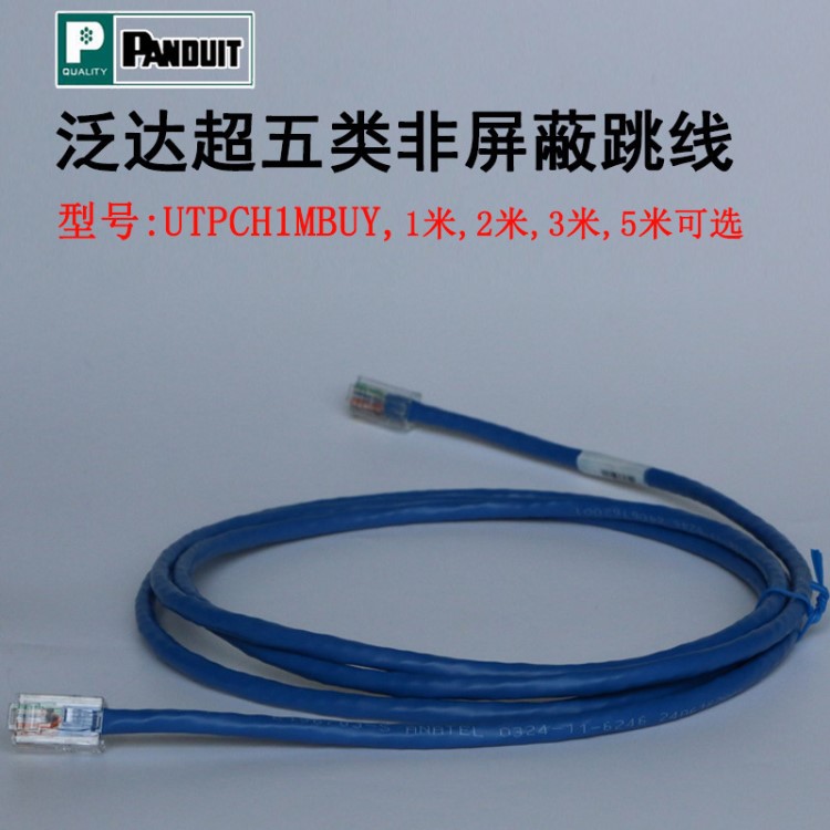 原裝泛達(dá)超五類跳線PANDUITRJ45非屏蔽網(wǎng)絡(luò)跳線成品3米UTPCH3MBUY